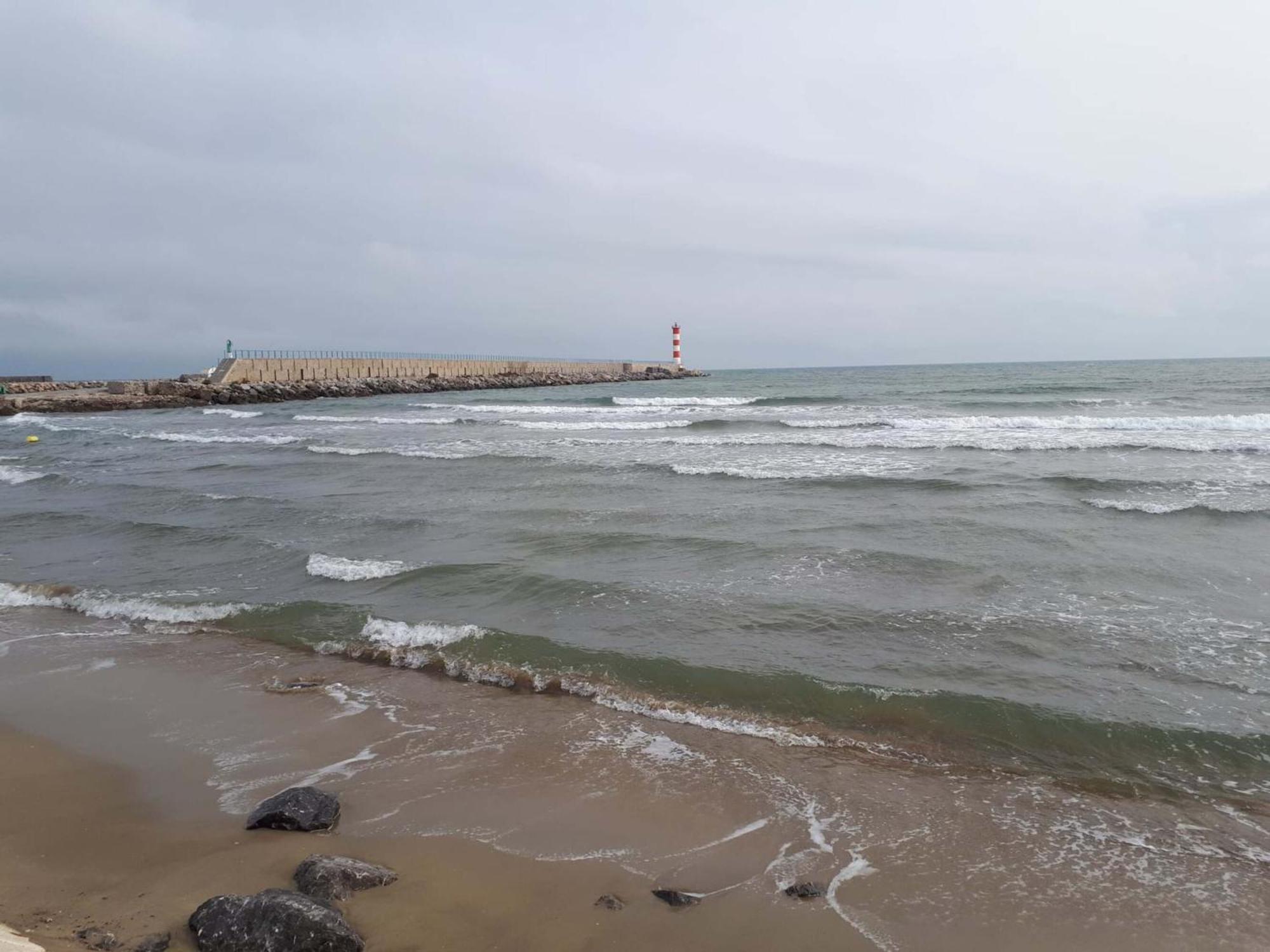 Le Mieukerien - Reserve Africaine 15 Mn, Plage 200M, Terrasse Port-la-Nouvelle Eksteriør billede